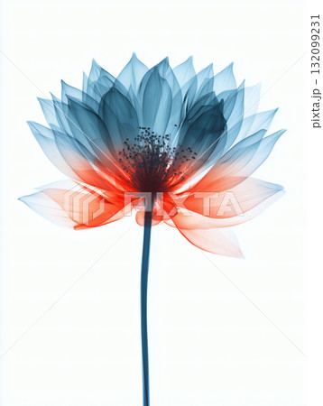 無人 花 フラワー 132099231