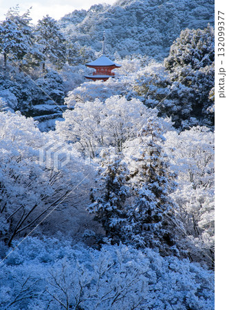雪化粧した清水寺 子安の塔 雪化粧した清水寺 子安の塔 132099377