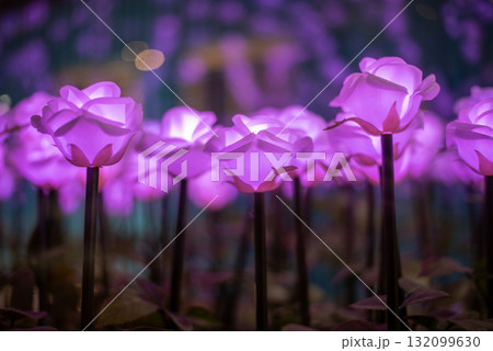 Glowing Purple LED Roses in Magical Ambiance Glowing Purple LED Roses in Magical Ambiance 132099630