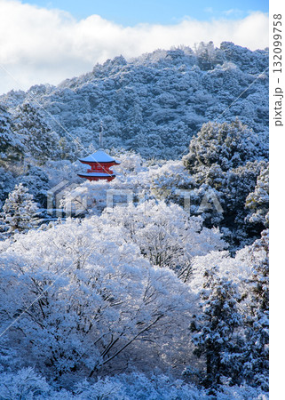 雪化粧した清水寺 子安の塔 雪化粧した清水寺 子安の塔 132099758