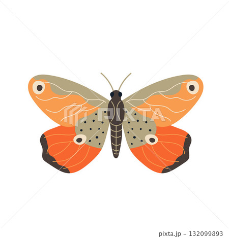 Beautiful vector butterfly in orange tones, flat style illustration Beautiful vector butterfly in orange tones, flat style illustration 132099893