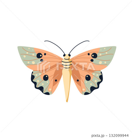 Beautiful vector butterfly in orange tones, flat style illustration Beautiful vector butterfly in orange tones, flat style illustration 132099944