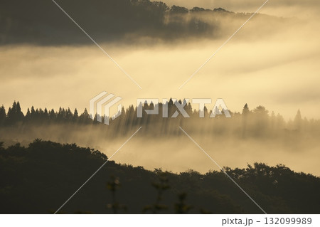 岡山県の秋の朝の蒜山高原と雲海 132099989