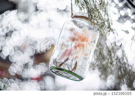 Beautiful grass flower in glass bottle hanging in Wedding ceremony garden , vintage decoration Beautiful grass flower in glass bottle hanging in Wedding ceremony garden , vintage decoration 132100105