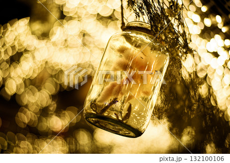 Beautiful grass flower in glass bottle hanging in Wedding ceremony garden , vintage decoration 132100106