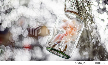 Beautiful grass flower in glass bottle hanging in Wedding ceremony garden , vintage decoration Beautiful grass flower in glass bottle hanging in Wedding ceremony garden , vintage decoration 132100107