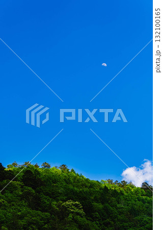 新緑の山と青空 132100165