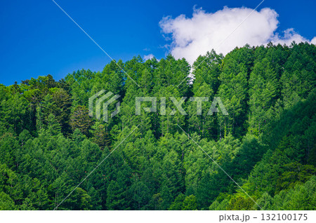 新緑の山と青空 新緑の山と青空 132100175