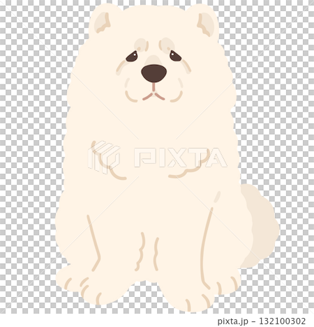 一隻面向前方坐著的白色鬆獅犬的簡單可愛插圖（無主線） 132100302