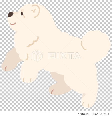 一隻跳躍的白色鬆獅犬的簡單可愛的插圖（沒有主線） 132100303