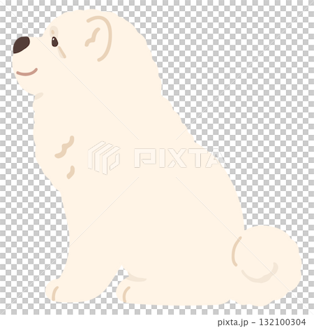 横を向いてお座りするシンプルで可愛い白いチャウチャウのイラスト　主線なし 132100304