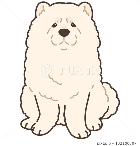 前を向いてお座りするシンプルで可愛い白いチャウチャウのイラスト　主線あり 132100307