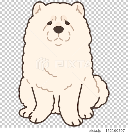 一隻白色鬆獅犬面朝前方坐著的簡單可愛的插圖,帶有主線 一隻白色鬆獅犬面朝前方坐著的簡單可愛的插圖,帶有主線 132100307