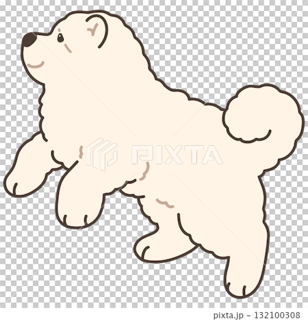 簡單可愛的跳躍白鬆獅犬插圖,帶有主線 簡單可愛的跳躍白鬆獅犬插圖,帶有主線 132100308