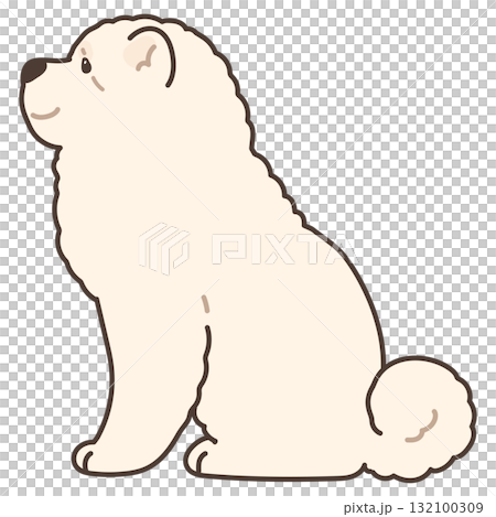 A simple and cute illustration of a white Chow Chow sitting sideways with main lines 132100309
