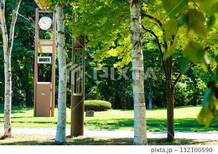 北海道札幌市 夏の中島公園にて 132100590