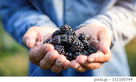 Farmers hands holding fresh organic blackberries 132100744
