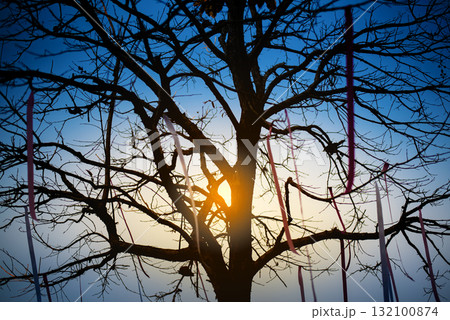 silhouette blur of tree in wedding ceremony event in garden at sunset silhouette blur of tree in wedding ceremony event in garden at sunset 132100874
