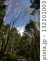 山の林 山の林 132101003