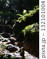 山の中 山の中 132101004
