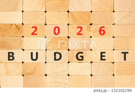 2026 Budget symbol. Concept words 2026 Budget on beautiful wooden blocks wall. Beautiful wooden blocks wall background. Business and 2026 budget concept. Copy space. 132102299