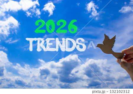 2026 Trends new year symbol. Concept words 2026 Trends on beautiful blue sky. Beautiful blue sky background. Businessman's hand holds wooden bird. Business and 2026 Trends new year concept. Copy space 2026 Trends new year symbol. Concept words 2026 Trends on beautiful blue sky. Beautiful blue sky background. Businessman's hand holds wooden bird. Business and 2026 Trends new year concept. Copy space 132102312