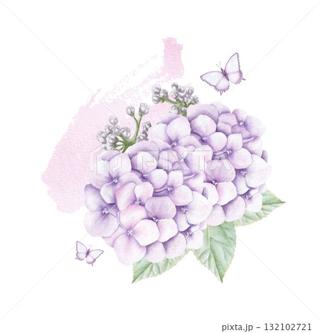 Watercolor composition of pink hydrangea flowers, leaves, buds and butterflies with paint stroke. Hand drawn illustration isolated on white background for print and design 132102721
