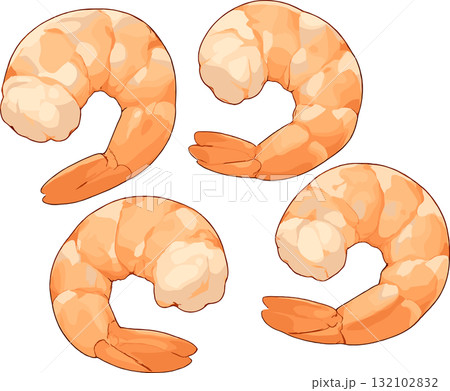 4つのむきエビのイラスト 4つのむきエビのイラスト 132102832