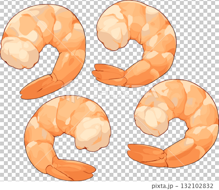 4つのむきエビのイラスト 4つのむきエビのイラスト 132102832