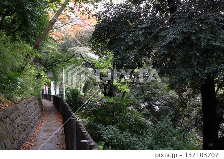 秋の飛鳥山にて(東京都北区) 秋の飛鳥山にて(東京都北区) 132103707