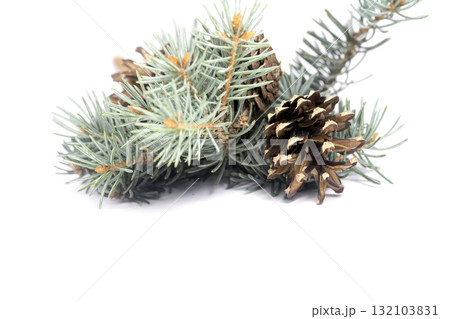 Christmas landscape with gifts and snow. Merry christmas and happy new year . Christmas celebration holiday background Christmas landscape with gifts and snow. Merry christmas and happy new year . Christmas celebration holiday background 132103831