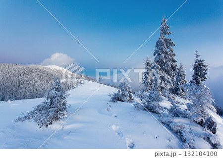 winter winter 132104100
