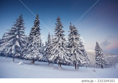 winter winter 132104101
