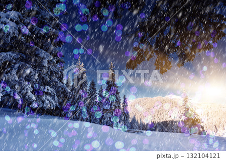 winter 132104121