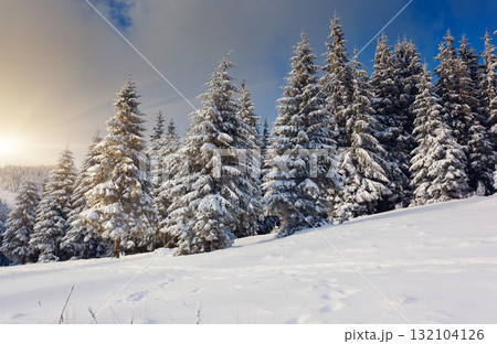 winter winter 132104126