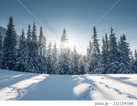 winter winter 132104166