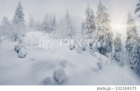winter 132104175