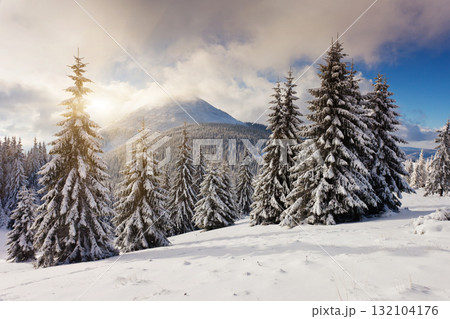 winter 132104176