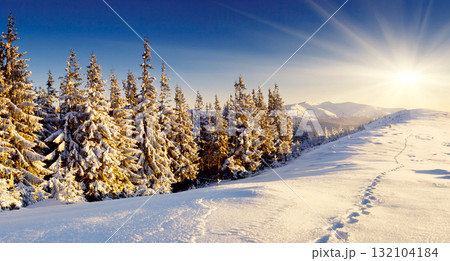 winter 132104184