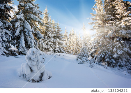 winter winter 132104231