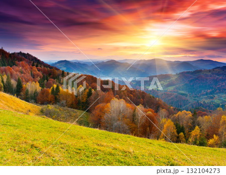 autumn autumn 132104273