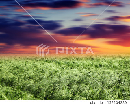 sunset sunset 132104280