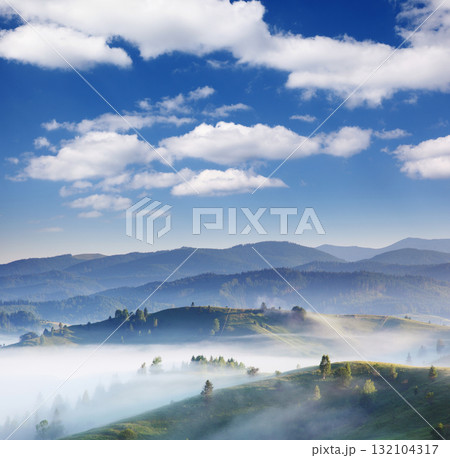 fog fog 132104317
