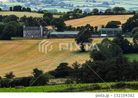 A picture of countryside in West Cork shows a field of yellow grain leading to a grey stone farmhouse. Green fields and trees cover the landscape. A picture of countryside in West Cork shows a field of yellow grain leading to a grey stone farmhouse. Green fields and trees cover the landscape. 132104382