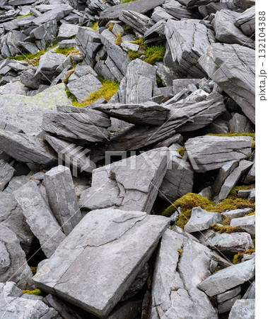 Several large gray rocks are scattered and stacked together, interspersed with patches of moss, forming a rough, natural terrain. 132104388