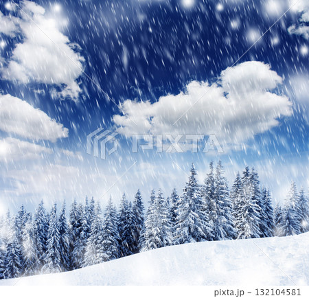 Winter Winter 132104581