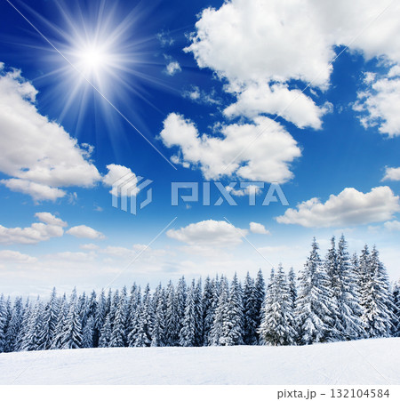 Winter Winter 132104584