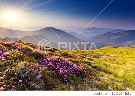 mountain landscape mountain landscape 132104629
