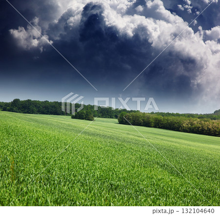 field field 132104640