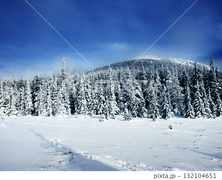 Winter 132104651